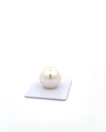 15mm+ fine  grade South Sea Pearl, Australia