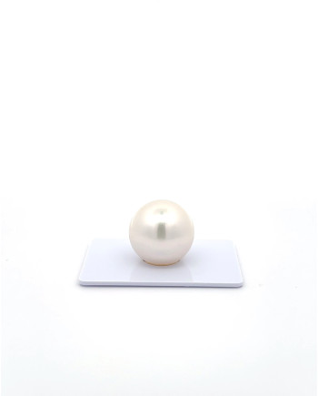 15mm+ fine  grade South Sea Pearl, Australia