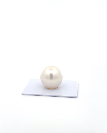 15mm+ fine  grade South Sea Pearl, Australia