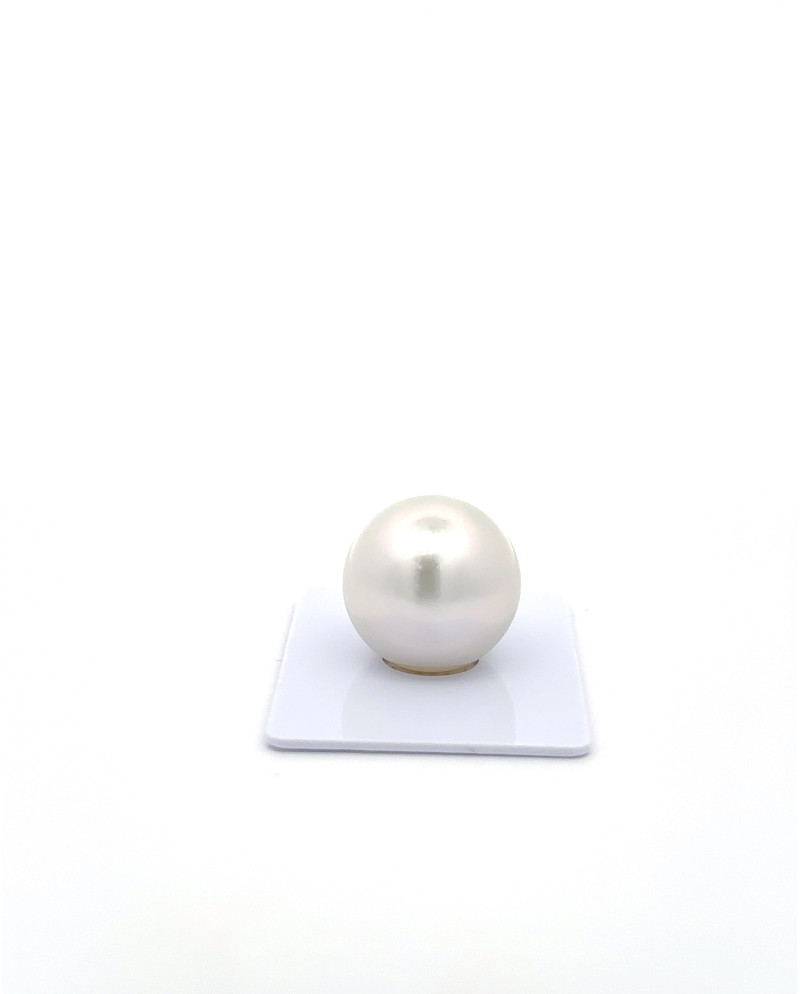 15mm+ fine  grade South Sea Pearl, Australia