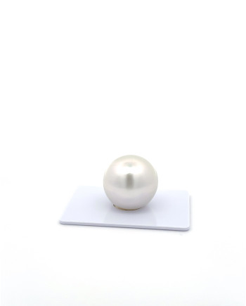 15mm+ fine  grade South Sea Pearl, Australia