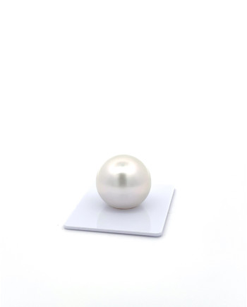 15mm+ fine  grade South Sea Pearl, Australia