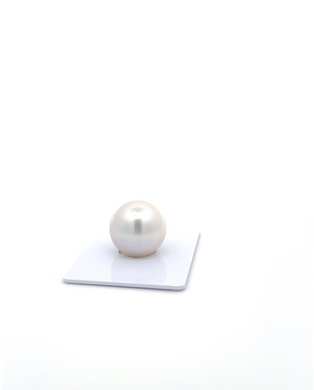 15mm+ gem  grade South Sea Pearl, Australia