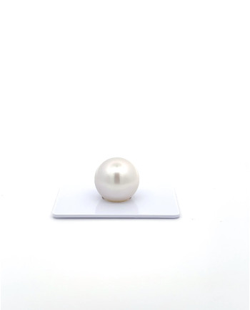 15mm+ gem  grade South Sea Pearl, Australia