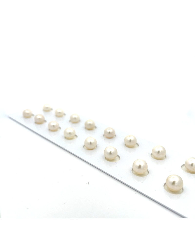 6mm+ fine  grade South Sea pearl, Indonesia