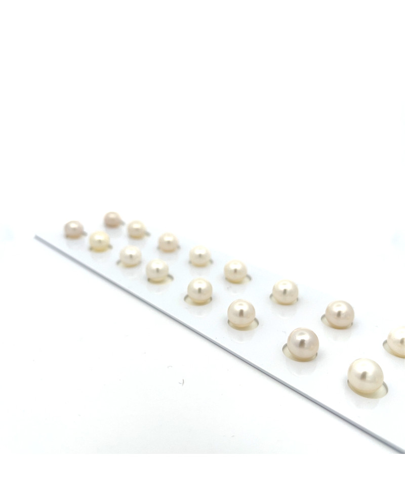 6mm+ fine  grade South Sea pearl, Indonesia
