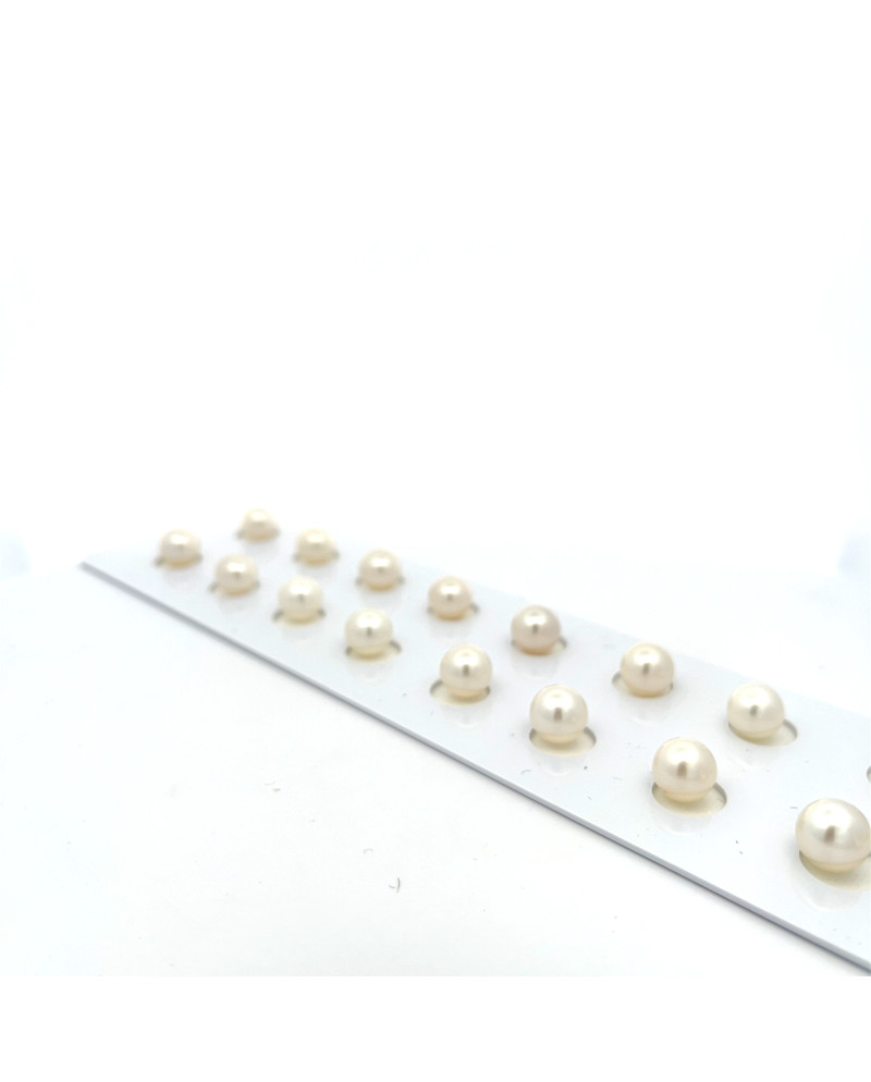 6mm+ fine  grade South Sea pearl, Indonesia