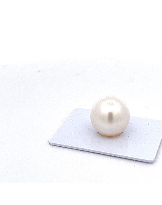 15mm+ gem  grade South Sea pearl, Australia