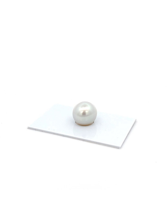 13.53x12.79mm South Sea pearl , origin Australia , jewel  grade