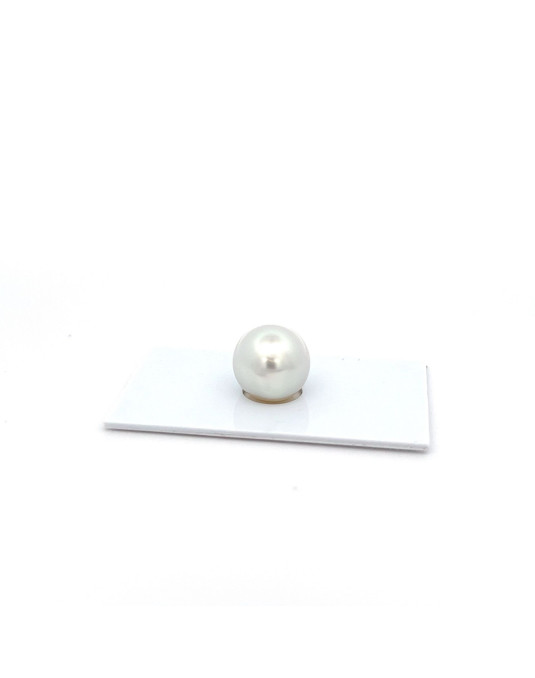 13.53x12.79mm South Sea pearl , origin Australia , jewel  grade