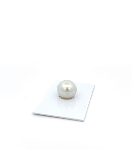 13.53x12.79mm South Sea pearl , origin Australia , jewel  grade