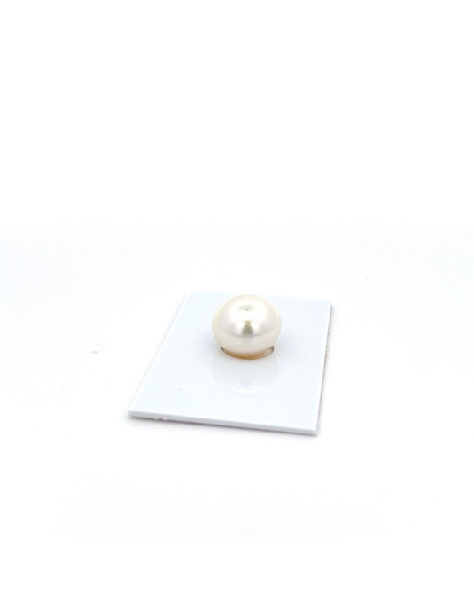 11.51x13.03mm South Sea pearl , origin Australia , fine  grade