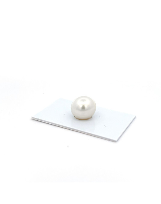 14.9x13.09mm South Sea pearl , origin Australia , jewel  grade