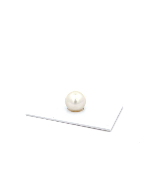 14.08x12.37mm South Sea pearl , origin Australia , jewel  grade