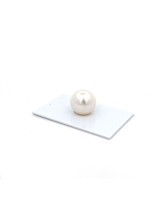 15.27x15mm South Sea pearl , origin Australia , jewel  grade