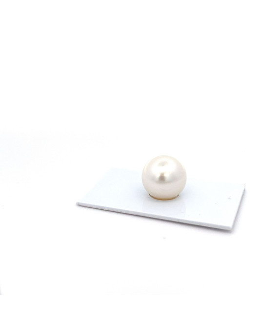 15.27x15mm South Sea pearl , origin Australia , jewel  grade