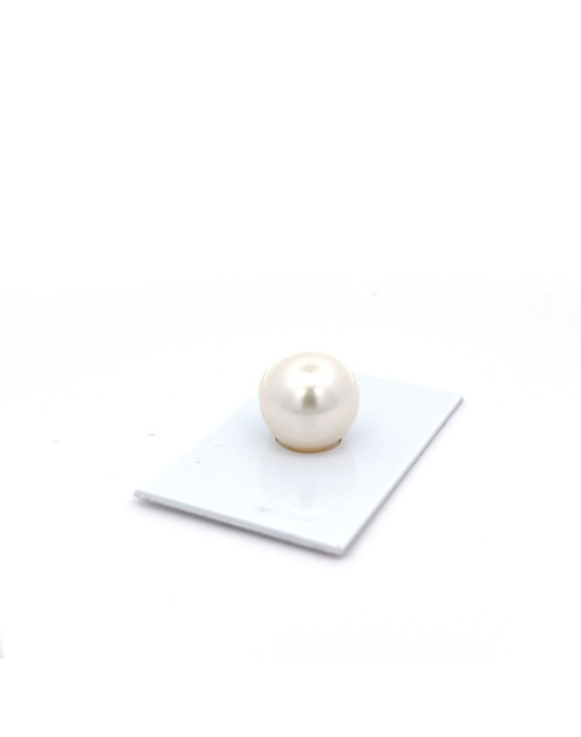 15.27x15mm South Sea pearl , origin Australia , jewel  grade