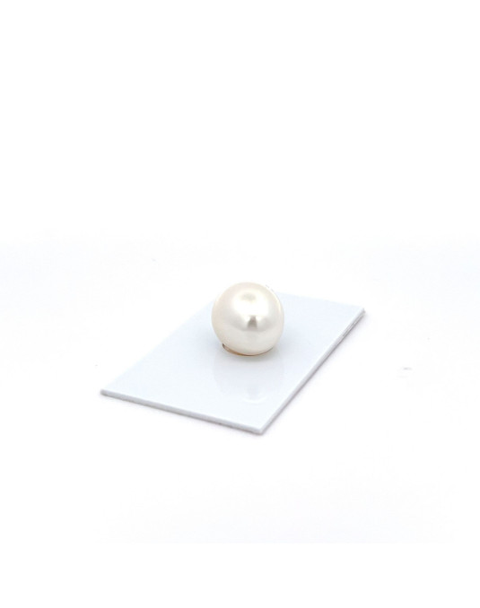 15.6x13.54mm South Sea pearl , origin Australia , gem  grade