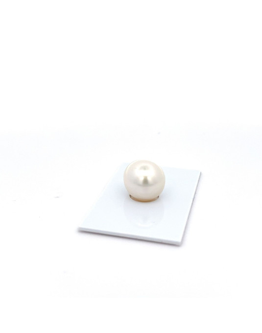 12mm+ gem  grade South Sea pearl, Australia