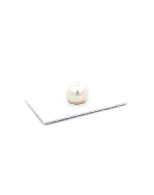 12mm+ gem  grade South Sea pearl, Australia