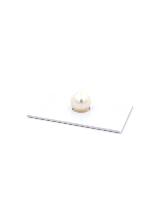 9mm+ gem  grade South Sea pearl, Australia