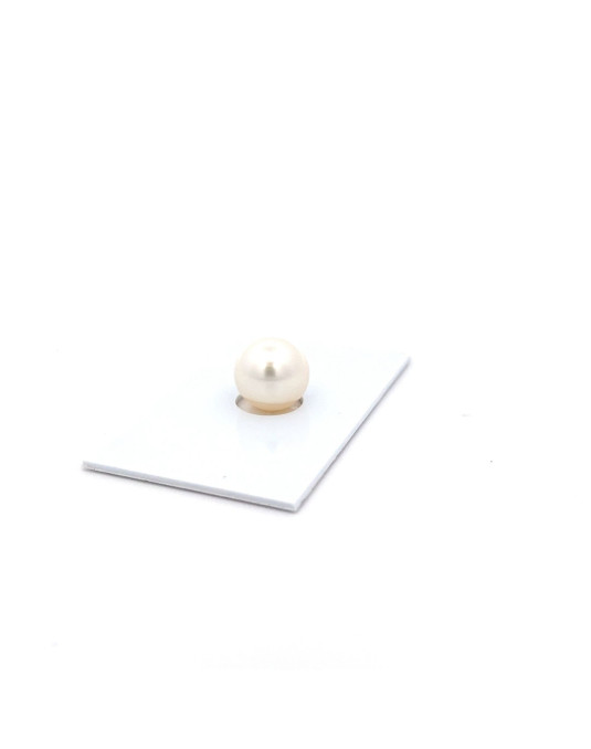 9mm+ gem  grade South Sea pearl, Australia