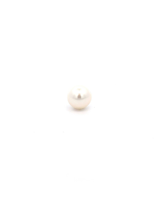 13.48x13.27mm South Sea pearl , origin Australia , fine  grade