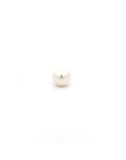 13.6x13.33mm South Sea pearl , origin Australia , fine  grade