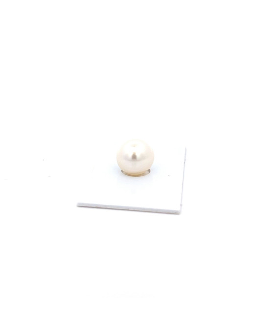 12.93x12.26mm South Sea pearl , origin Australia , fine  grade