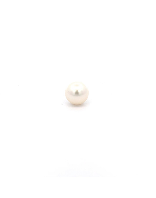 12.24x12.14mm South Sea pearl , origin Australia , fine  grade