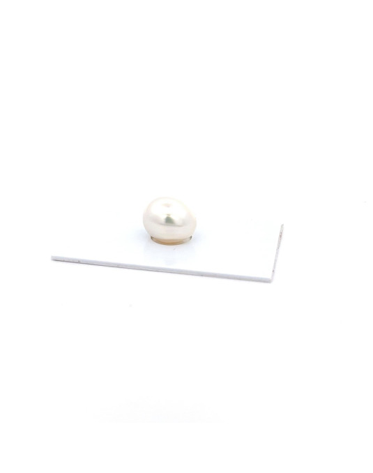 13.33x11.11mm South Sea pearl , origin Australia , fine  grade