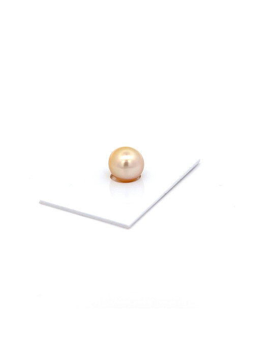 13.04x11.33mm South Sea pearl , origin Australia , fine  grade