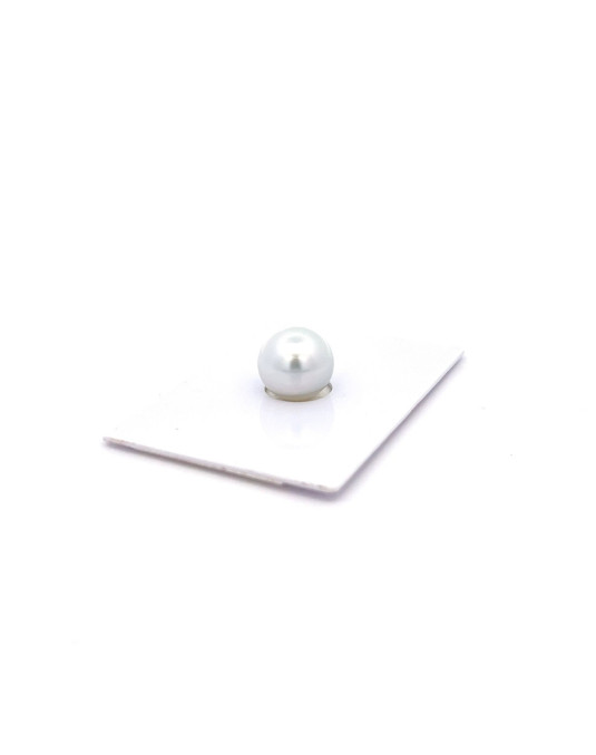 11.22x11.12mm South Sea pearl , origin Australia , fine  grade