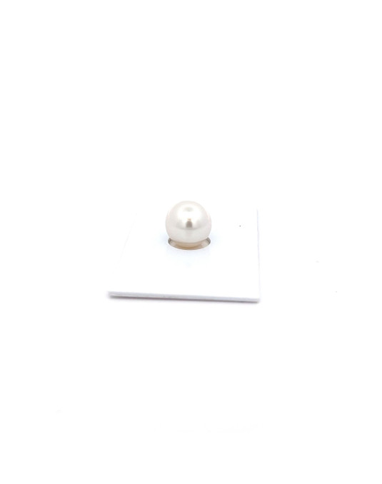 11.54x10.9mm South Sea pearl , origin Australia , fine  grade