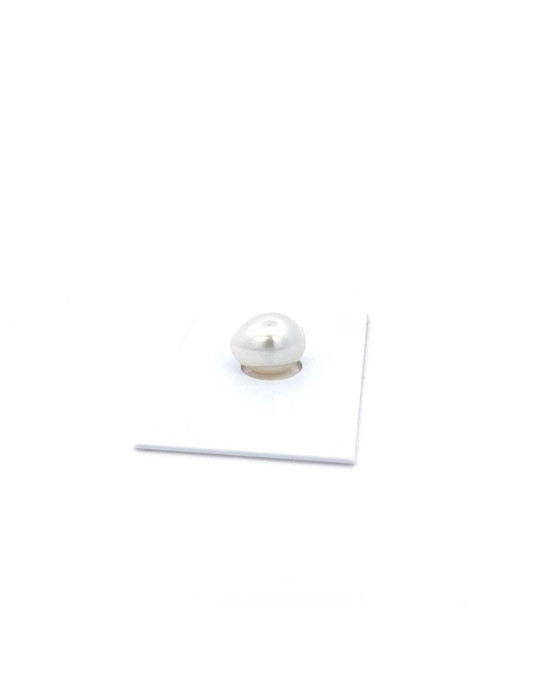 12.4x9.97mm South Sea pearl , origin Australia , gem  grade