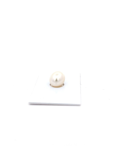 12.51x10.31mm South Sea pearl , origin Australia , fine  grade