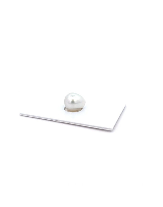 11.54x10.14mm South Sea pearl , origin Australia , fine  grade