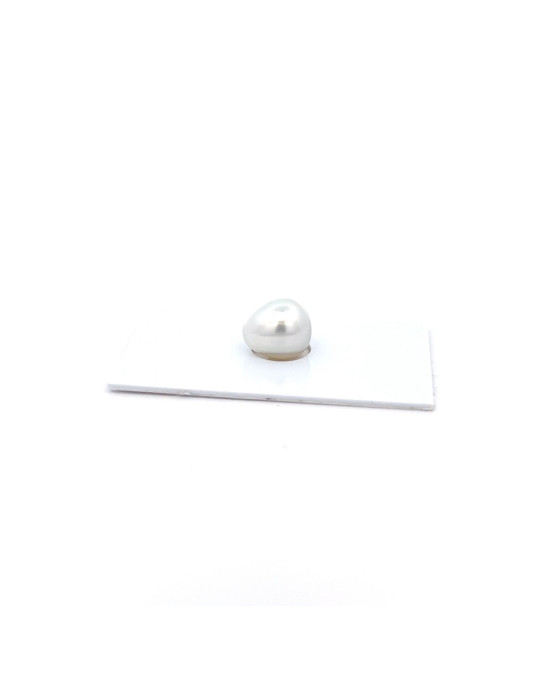 11.54x10.14mm South Sea pearl , origin Australia , fine  grade