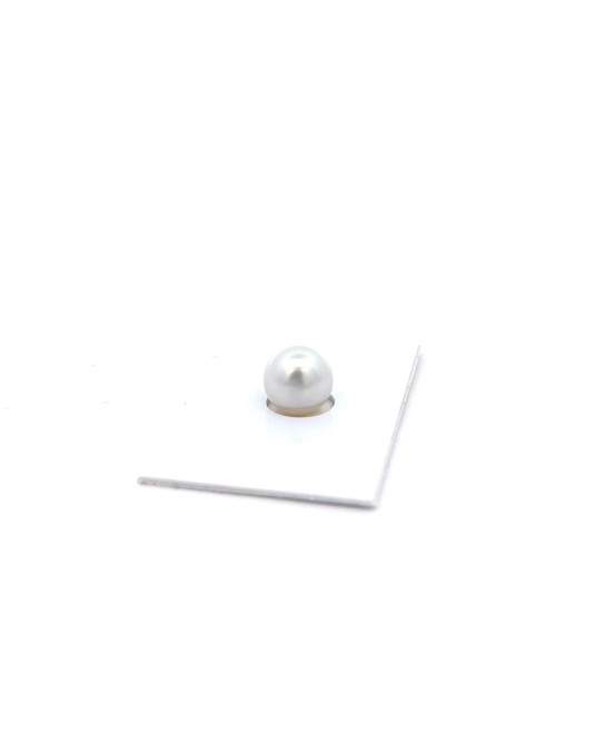 11.54x10.14mm South Sea pearl , origin Australia , fine  grade