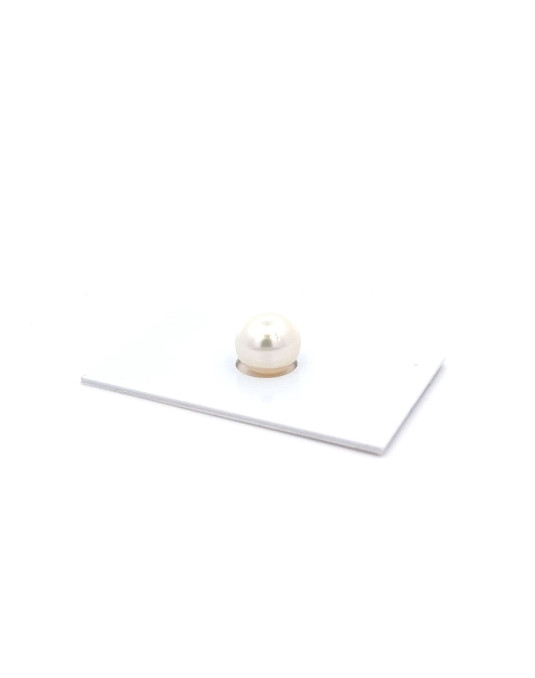 10.75x10.08mm South Sea pearl , origin Australia , jewel  grade