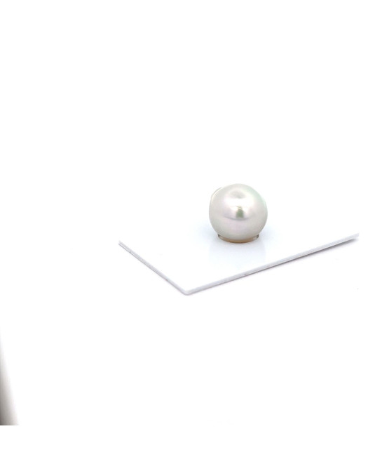 15.65x14.02mm South Sea pearl , origin Australia , jewel  grade