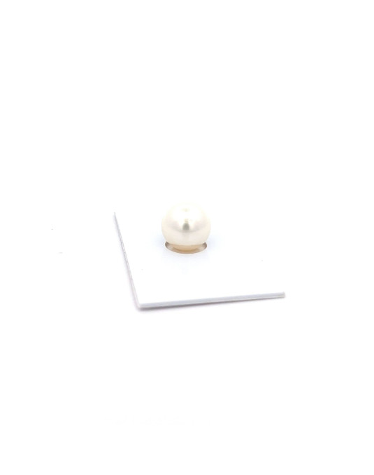 14.7x11.75mm South Sea pearl , origin Australia , fine  grade