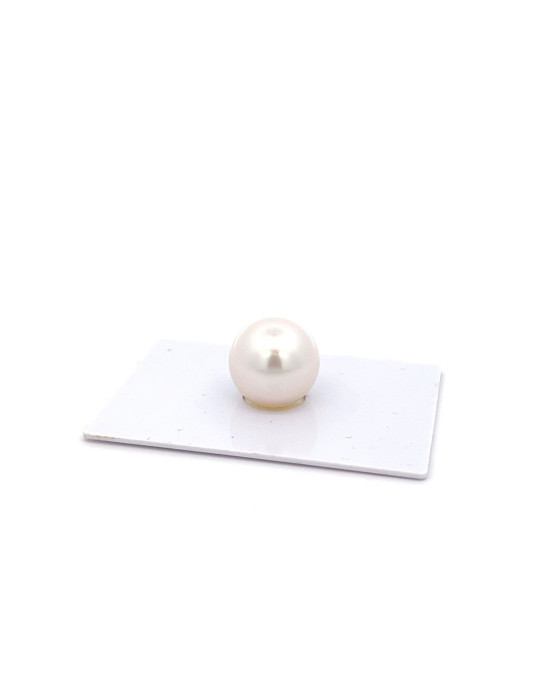 14.15mm South Sea pearl , origin Australia , fine  grade