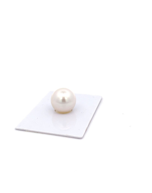 14.15mm South Sea pearl , origin Australia , fine  grade