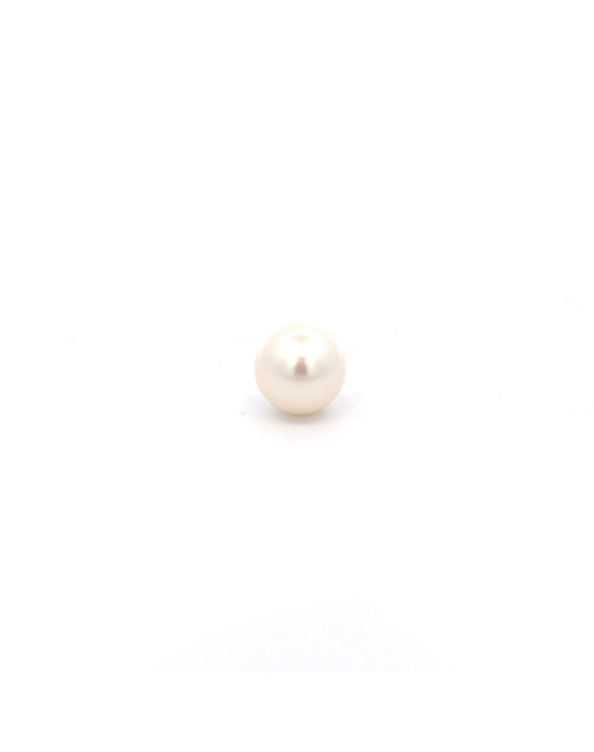 13.42mm South Sea pearl , origin Australia , fine  grade