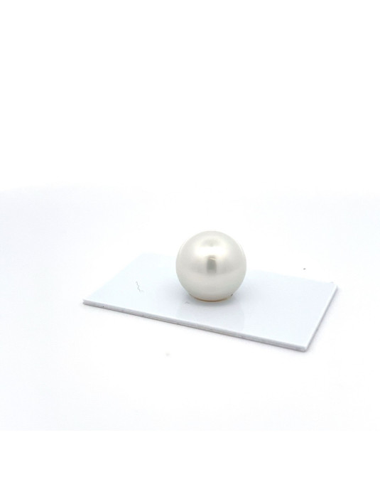 15.75mm South Sea pearl , origin Australia , fine  grade