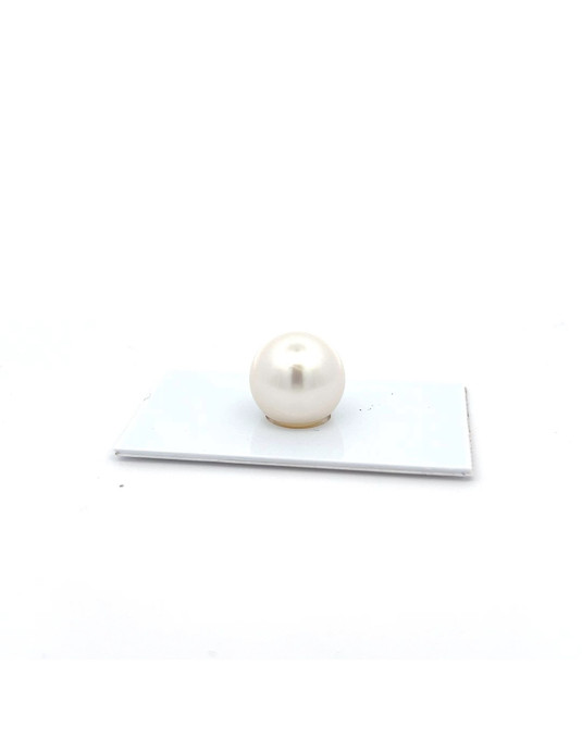 14.5mm South Sea pearl , origin Australia , fine  grade