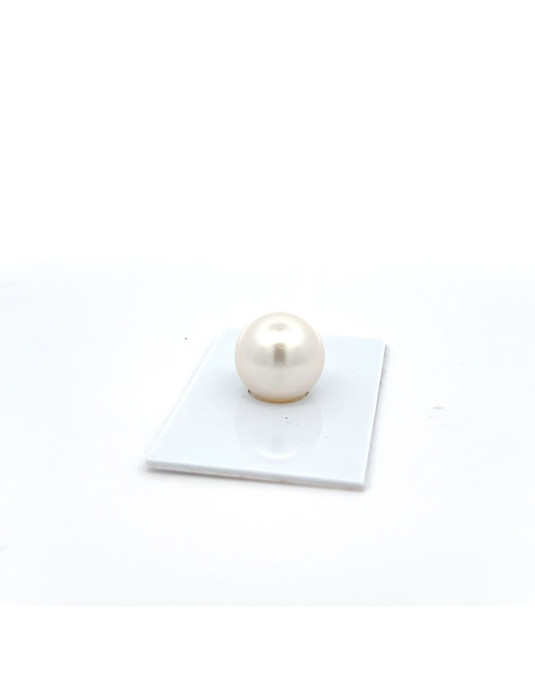 14.5mm South Sea pearl , origin Australia , fine  grade