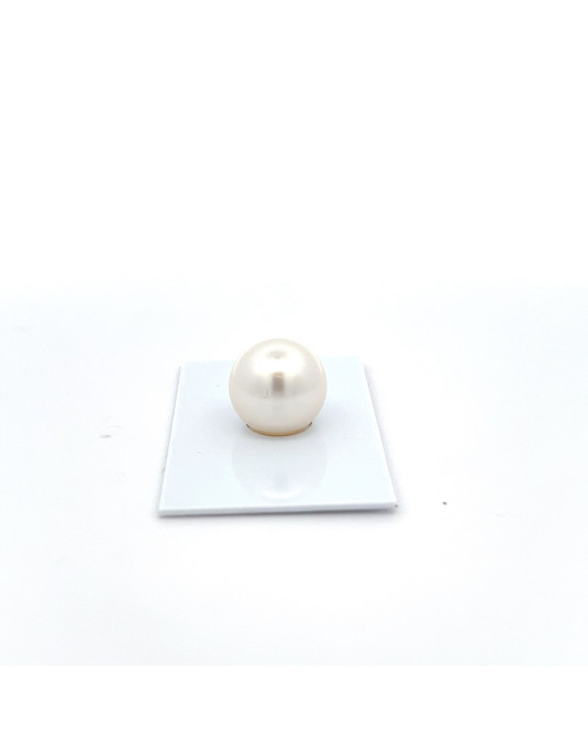 14.5mm South Sea pearl , origin Australia , fine  grade