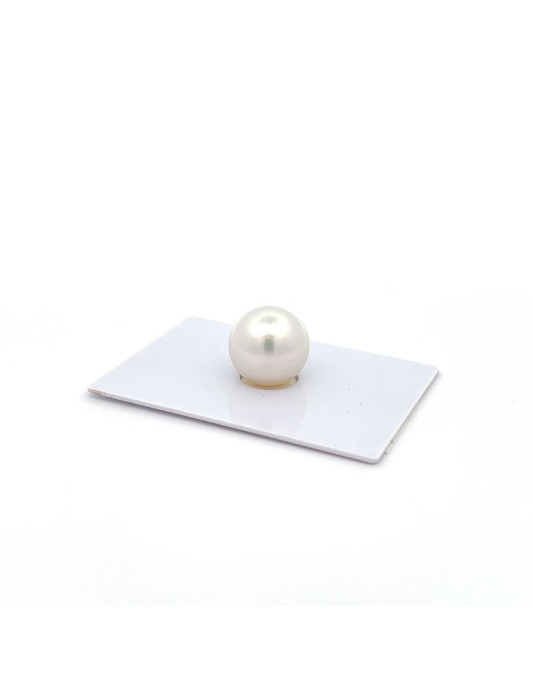 12mm+ gem  grade South Sea pearl, Australia
